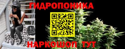 бошки Кимры