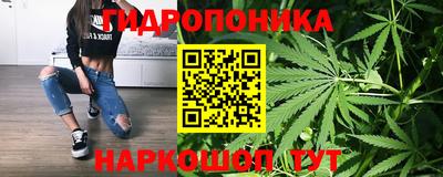 бошки Кимры