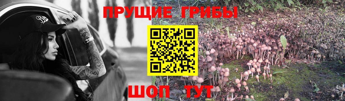 Галлюциногенные грибы мухоморы  Вход с VPN  Кострома 