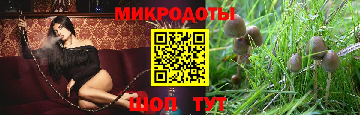 Псилоцибиновые грибы GOLDEN TEACHER Кострома